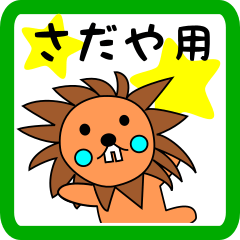 さだや用 ライオンけいたん