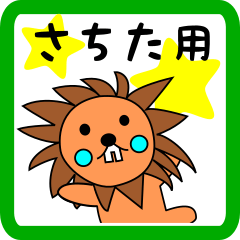 さちた用 ライオンけいたん