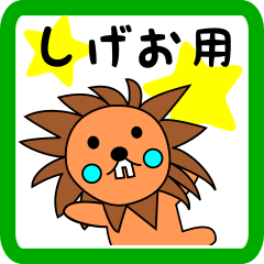 しげお用 ライオンけいたん