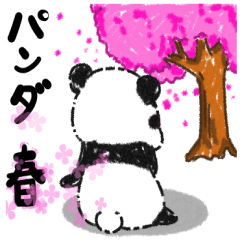 Softy panda normal 2