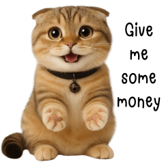 Nong Gumlai Very Cute cat (EN)