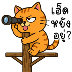 เว้าอีสาน (Ver.ส้มส้ม แมวจอมกวน)