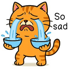 SomSom Funny Cat (ENG)