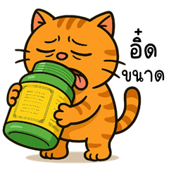 อู้กำเมือง (Ver.ส้มส้ม แมวจอมกวน)