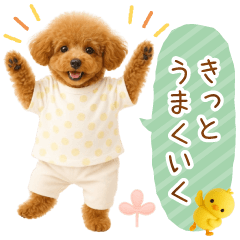 ポジティブな気持ちを伝える☆プードル