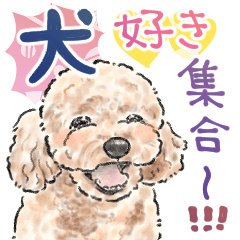 【敬語】犬好き集合！かわいいワンちゃんズ