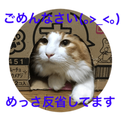 manafi.riruru.myu