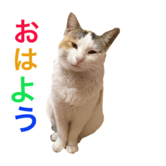 nora chan!2