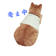 catcatbrown