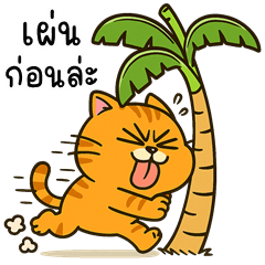 ส้มส้ม แมวจอมกวน