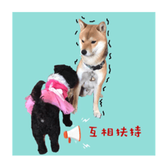 ChiaChi Yuan Bau and DoDo