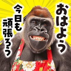 mother gorilla. feeling