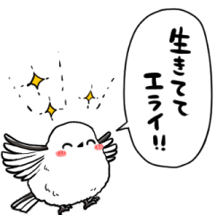 long-tailed tit praises your greatness