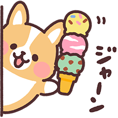 fluffy fat Corgi summer vacation