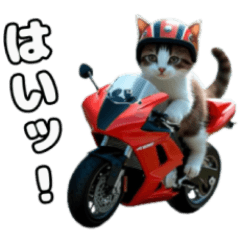 The Friendly Trio Vehicles Edition