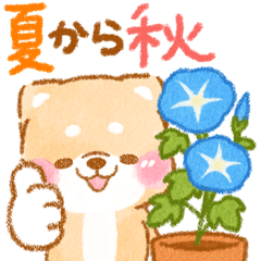 iyashibainu summer and autumn