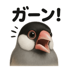 リアルな文鳥の日常感情日記ラインスタンプ