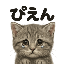 リアルなマンチカンの感情表現日記ライン