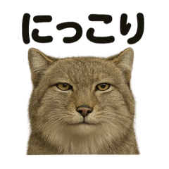 リアルなチベットスナギツネの感情表現日記