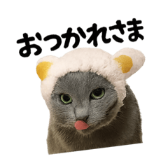 ビビチャンだよ
