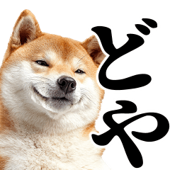 Smug face Shiba Inu Sticker