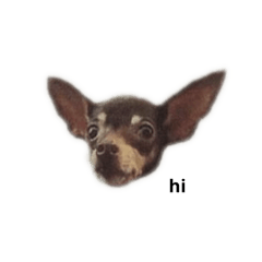 hiyori_20250612160046