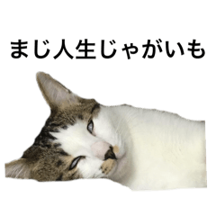 hiyori_20250612164751