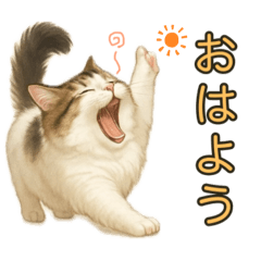 masayan_20250612164953