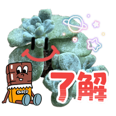 多肉ちゃん3＋ワンコ