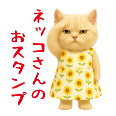 Easy-to-use cat sticker.