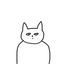 The staring cat