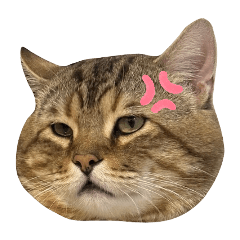 學長 vol.1：有事再Line