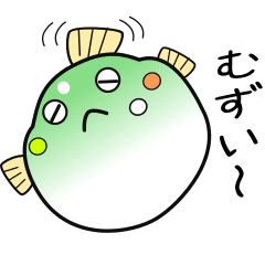 nobobi  Round puffer fish