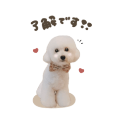 メイちゃん♡スタンダード