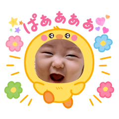 taimama_20250614141721