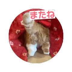 ぽんた師匠の日常で使えるスタンプ第３弾