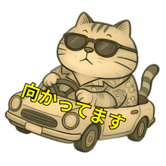 でぶ猫夏日和