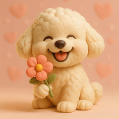 Bichon's Fluffy Life2