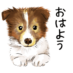 patezou_20250614171714