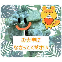 多肉ちゃん4。多肉植物と仲間たち