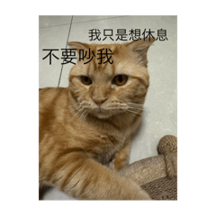 頓了頓