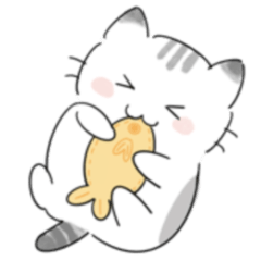 PangPang chubby cat - cute activities