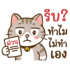 นำโชค : แมวกวน 2