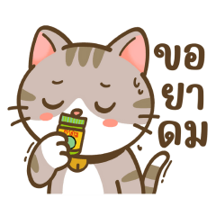 นำโชค : แมวกวน