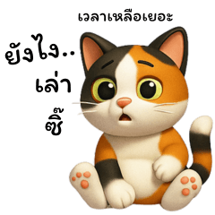 Casper the Cheeky Cat