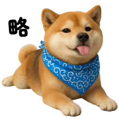 柴犬很可愛，但也很淘氣
