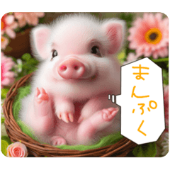 nyanmaru_20250615104112