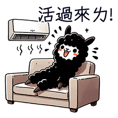 GOOD black alpaca-SUMMER