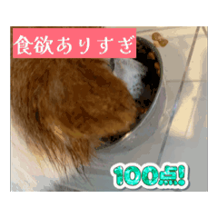 ERI_20250615140847