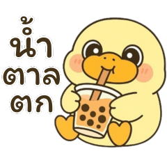 เป็ดดั๊กกี้ ใช้ได้ทุกวัน